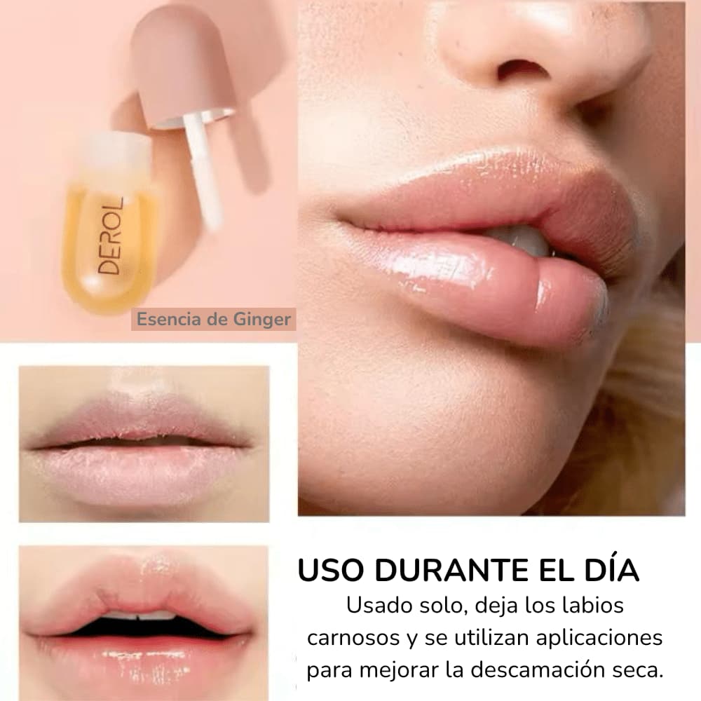 Envase completo Kit Gloss day night incluido